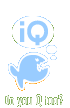 IQ website